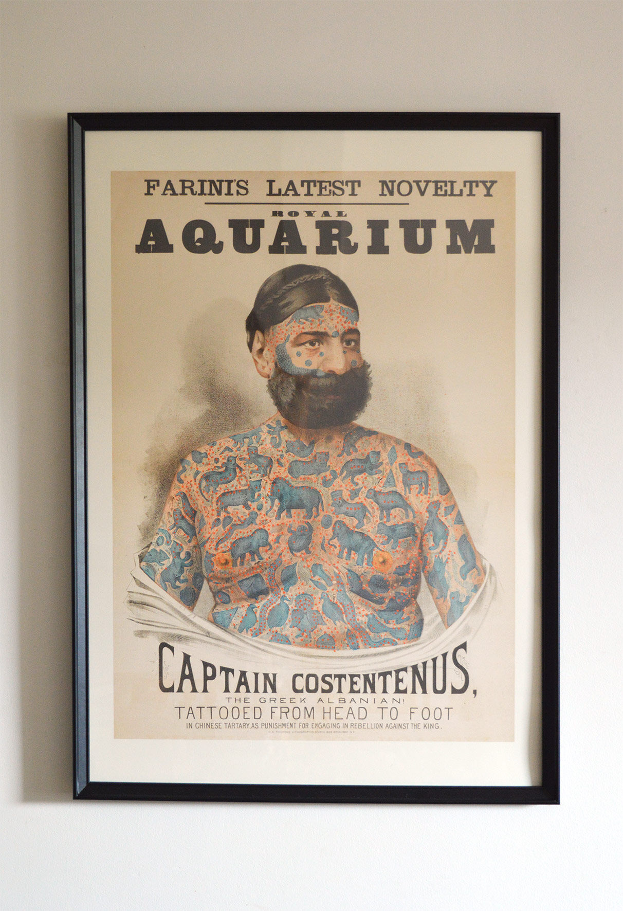 Advertising poster - Captain Costentenus