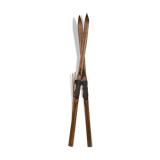 Wooden ski and its sticks