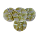 4 Gien oyster plates 2106171