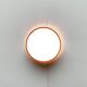 German Mid-Century Ceiling Lamp by Kaiser Leuchten, 1960s