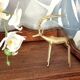 Chiseled brass antelope