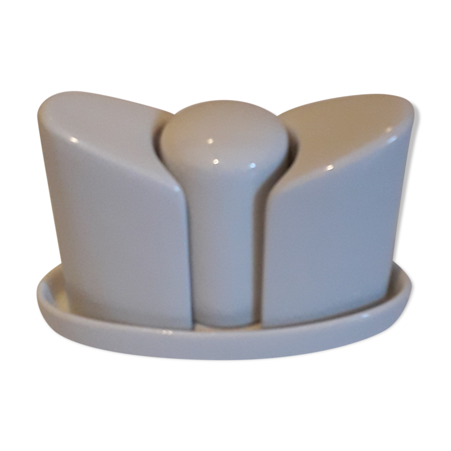 Set salt shaker, pepper tree and covered ceramic pot on small tray