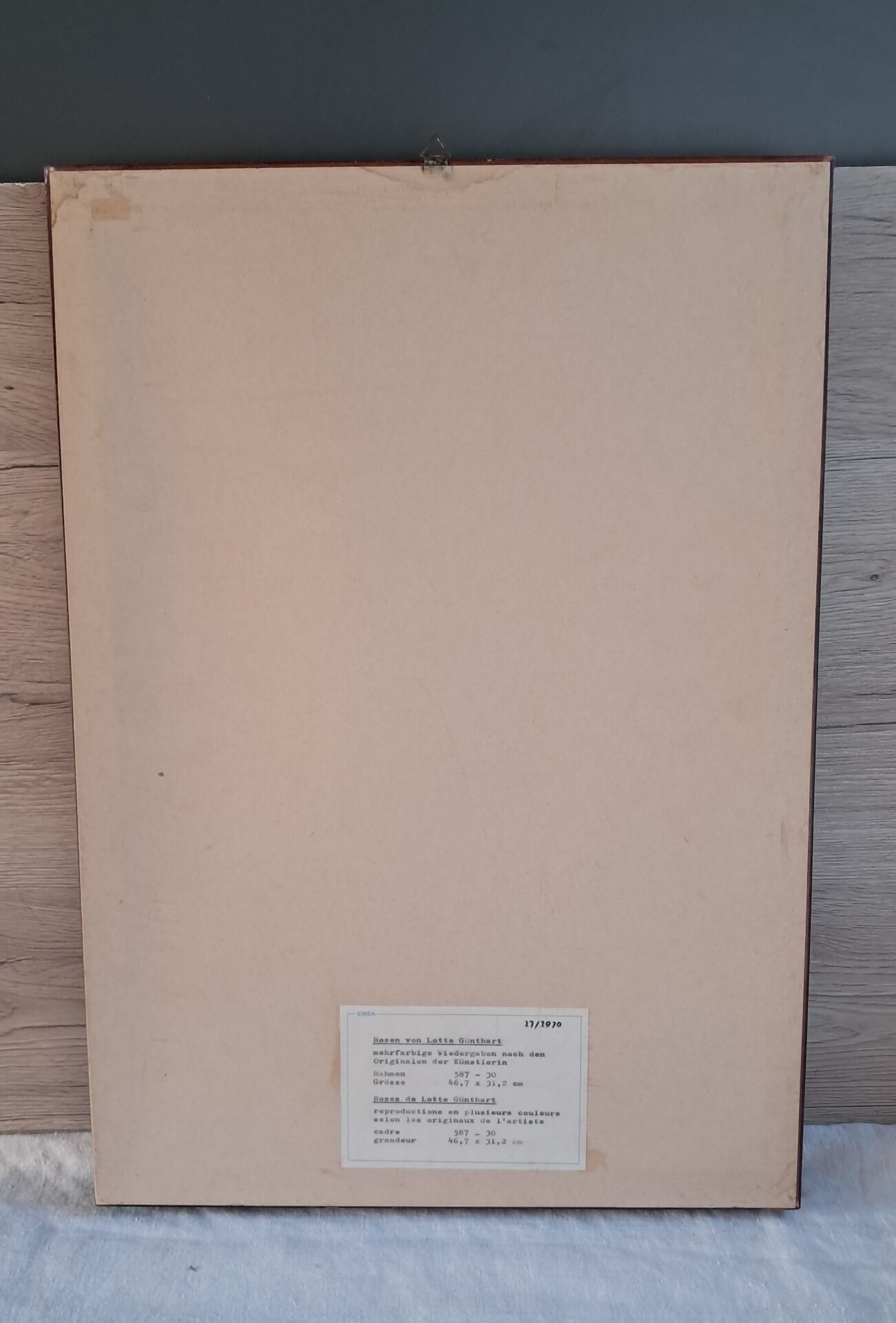 Vintage 1970 frame - Botanical illustration of Rose "Josephine B"