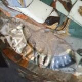 Baluster vase by Jean Gerbino for Valauris