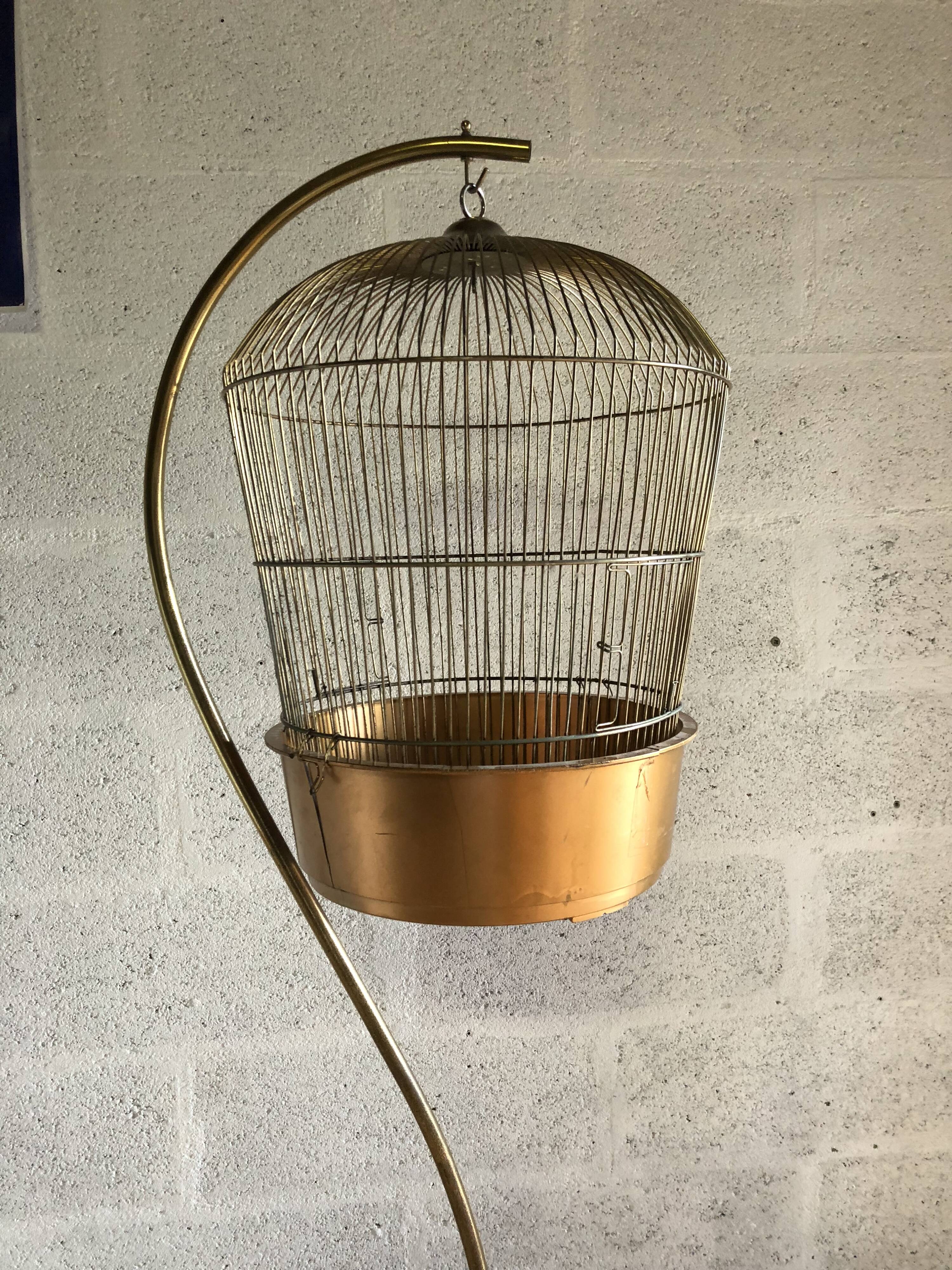 Cage suspended for decoration, plant vintage
