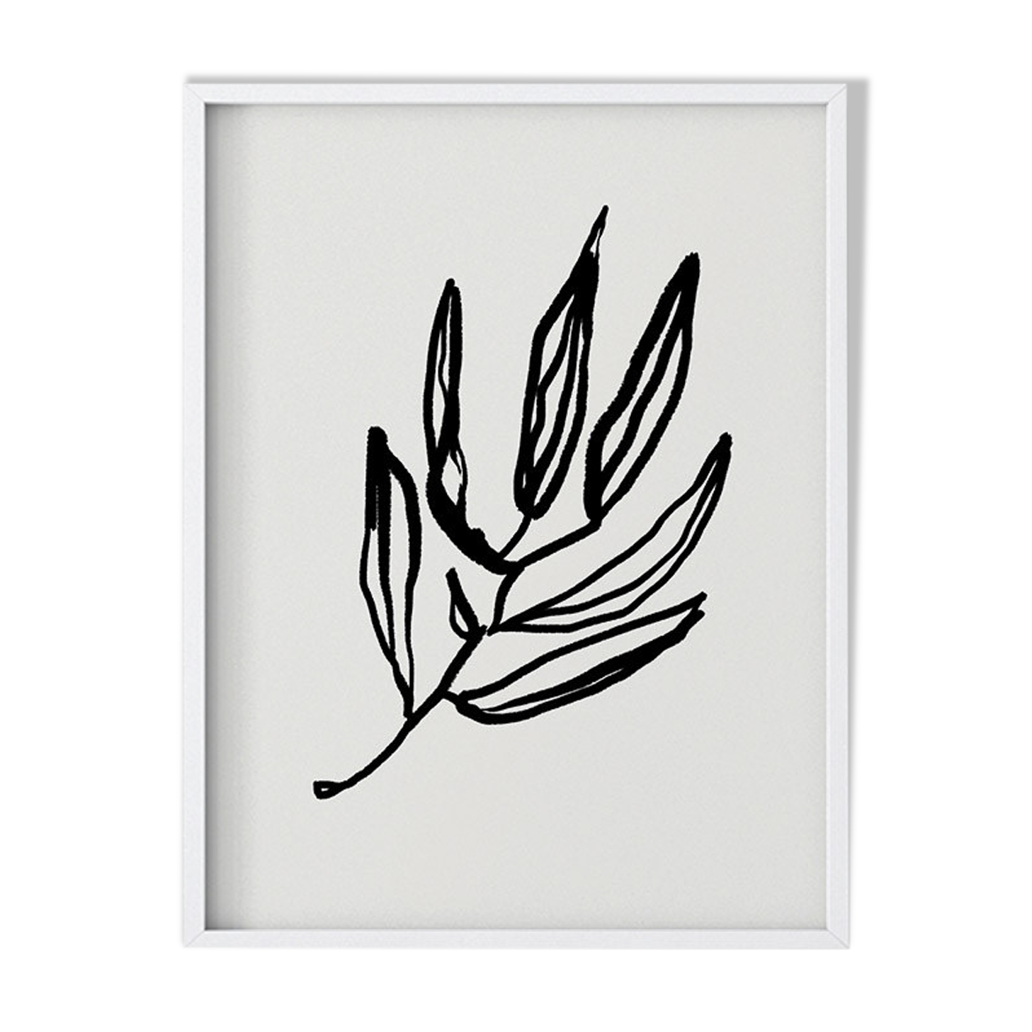 Botanical illustration giclee print, 50x70