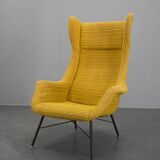 Fiberglass Armchair by Miroslav Navratil, Czechoslovakia, 1960s