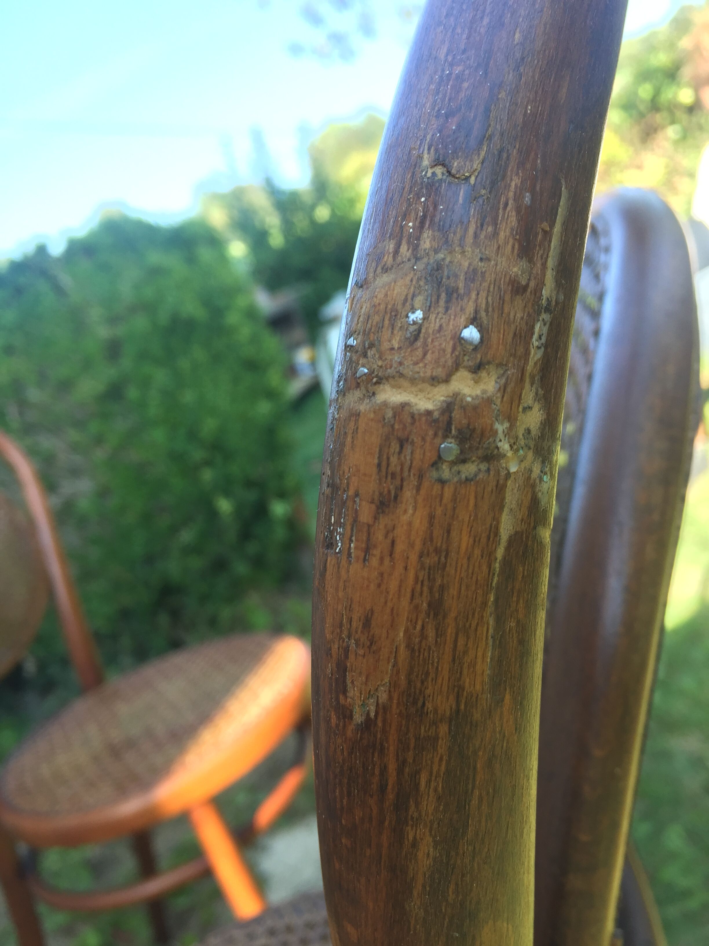 Lot of  bistro chairs