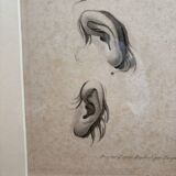 Old Print Engraving 19th Century Study of an Ear Sketch After Raphael Pasquier