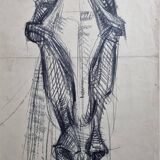 Preparatory study, charcoal sketch of a horse's head signed by Maurice de Bus, 38 x 60 cm