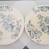 6 Longwy Ycho model flat plates in iron earthenware