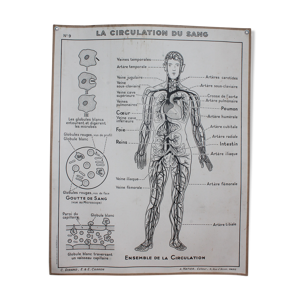 Carte scolaire la circulation du