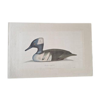 La Roche Laffitte (Born in 1943) - Watercolour drawing on fabric - Harle