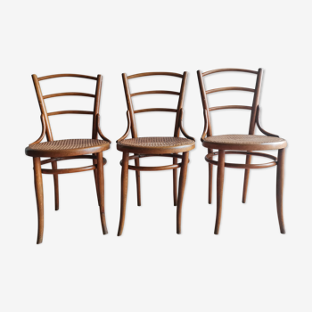 Ensemble de 3 chaises Thonet authentiques début XXeme