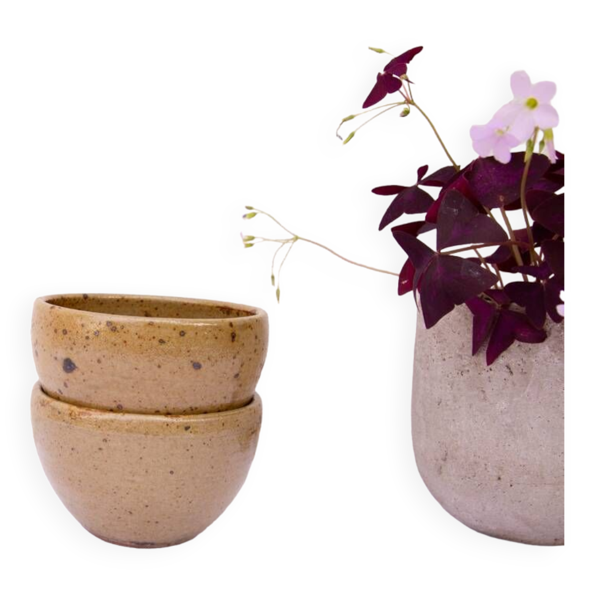 2 large feu la Berne stoneware bowls signed