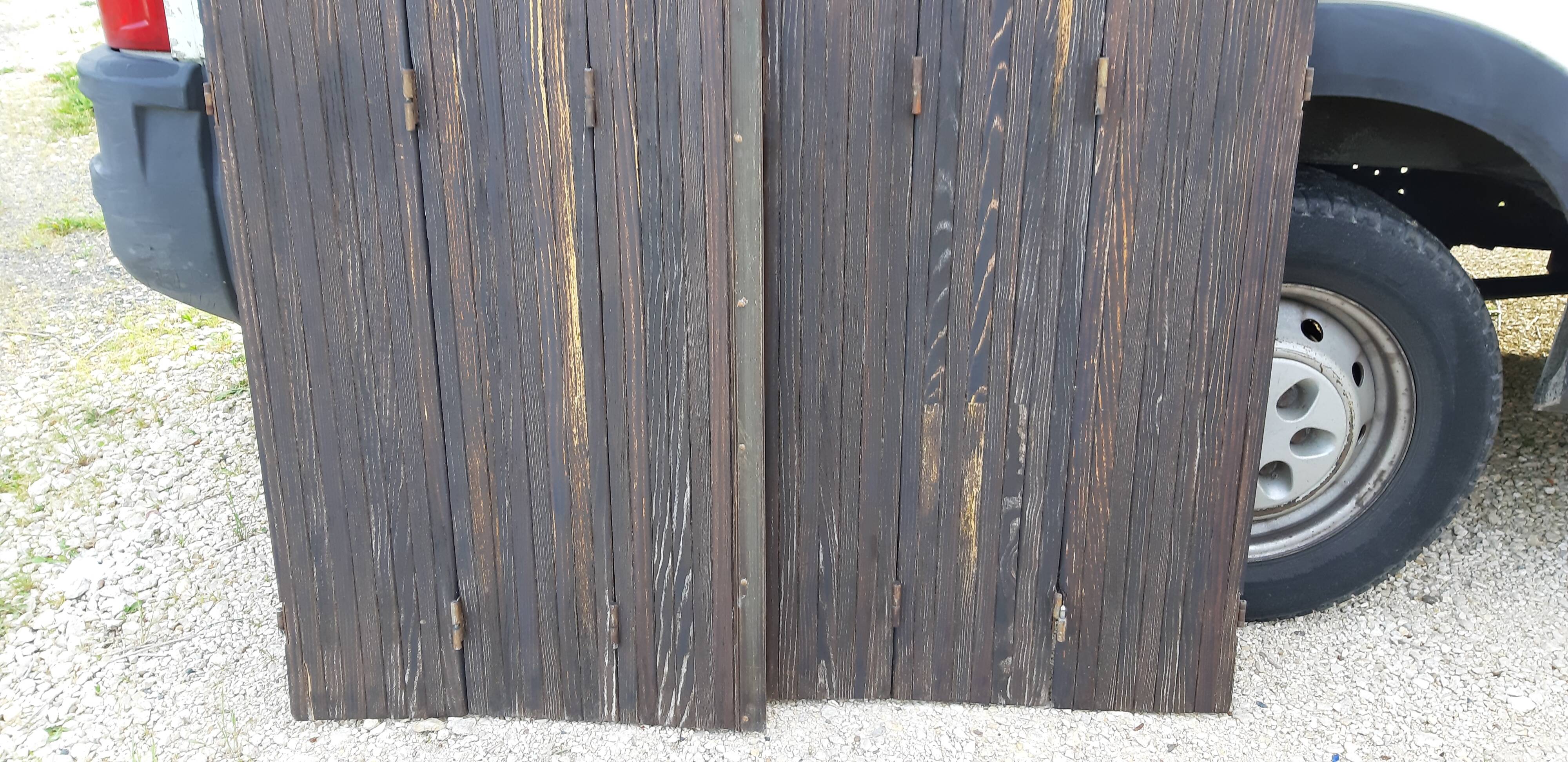 Ancient persians in pine