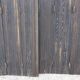 Ancient persians in pine