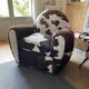 Fauteuils club en peau de vache