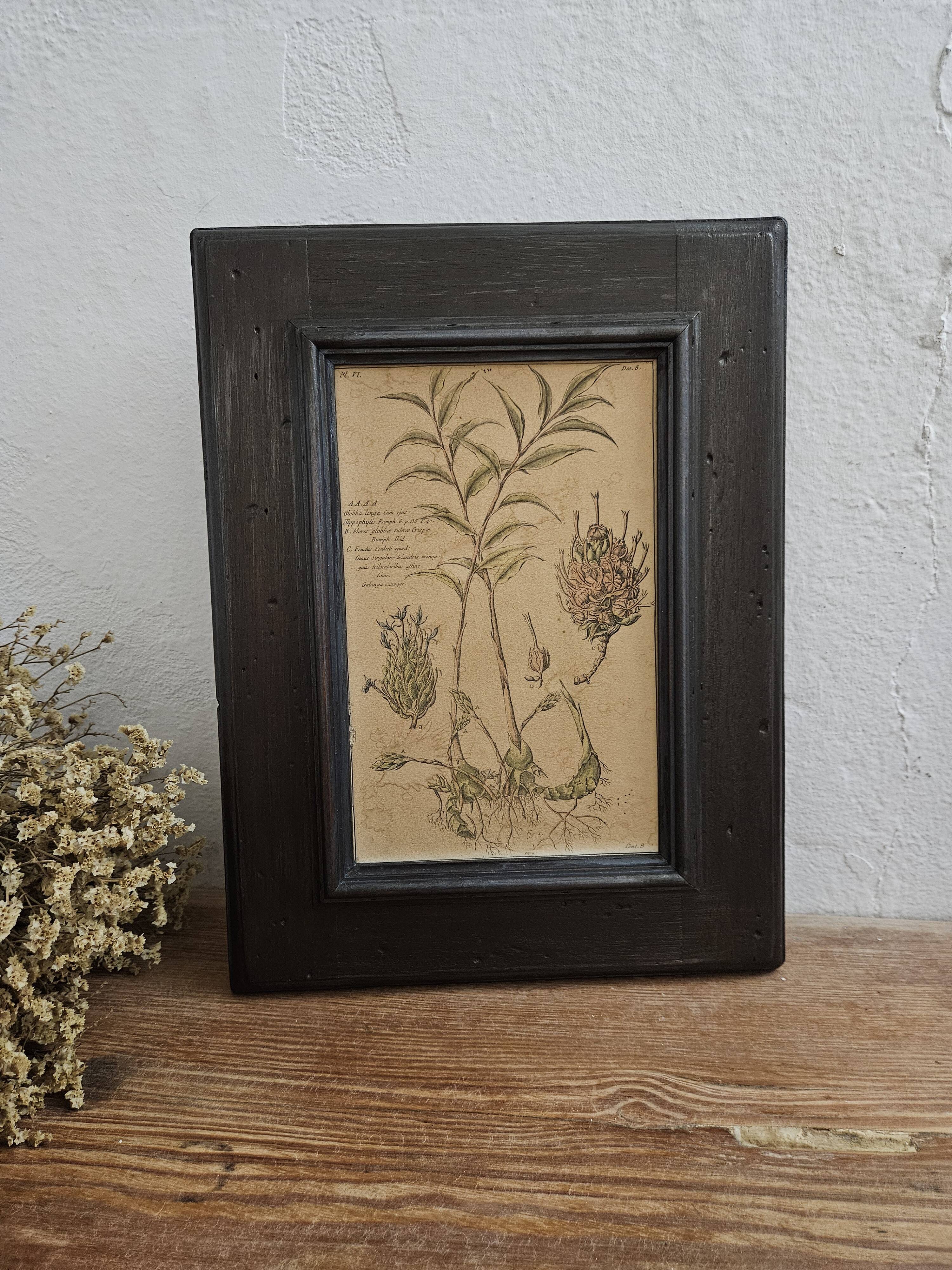 Framed Botanical Board Table