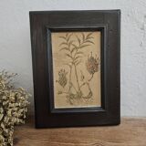 Framed Botanical Board Table