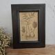 Framed Botanical Board Table