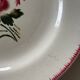 Digoin Sarreguemines plates