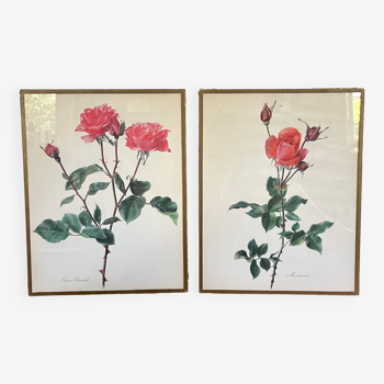 Pair of vintage botanical boards