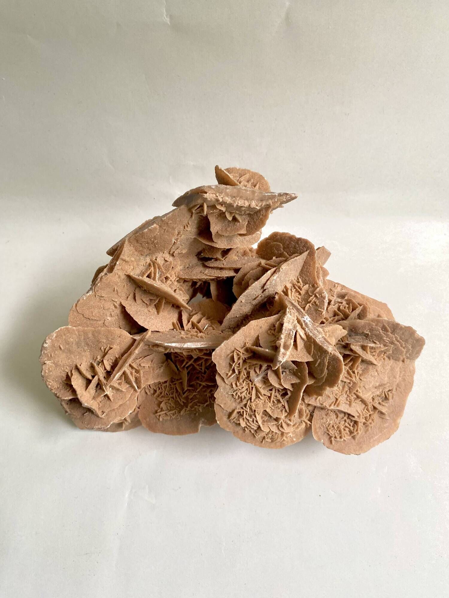 Sand rose 23 cm