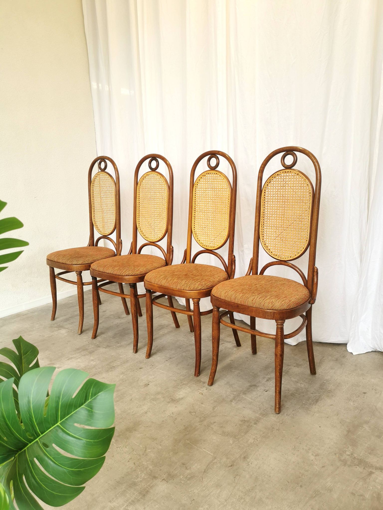 Set of 4 Vintage Bentwood Dining Chairs: Cane Back, Thonet Style