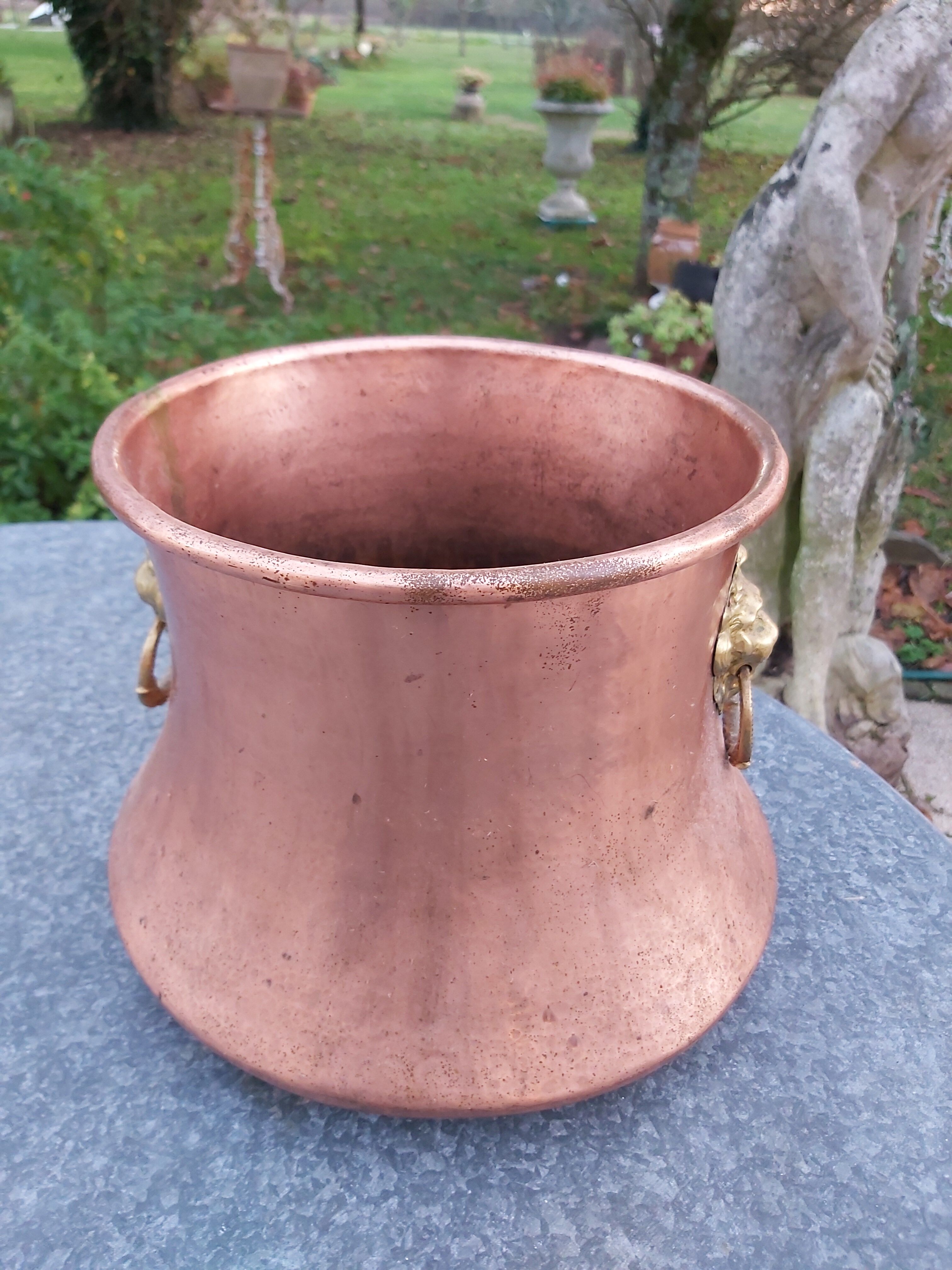 Norman copper pot cache