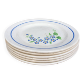 Dessert plates Badonviller