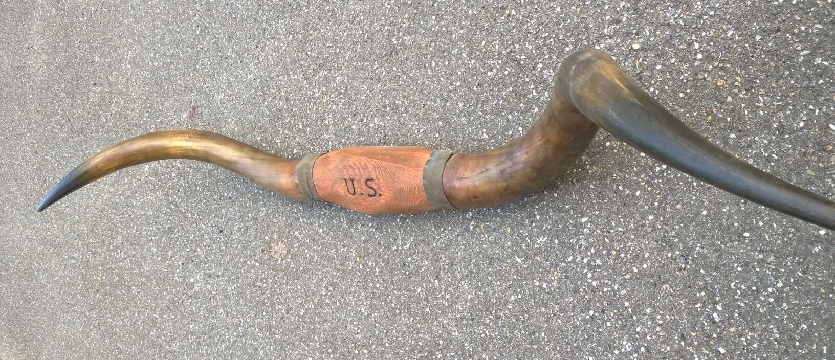 Trophée Texas longhorn