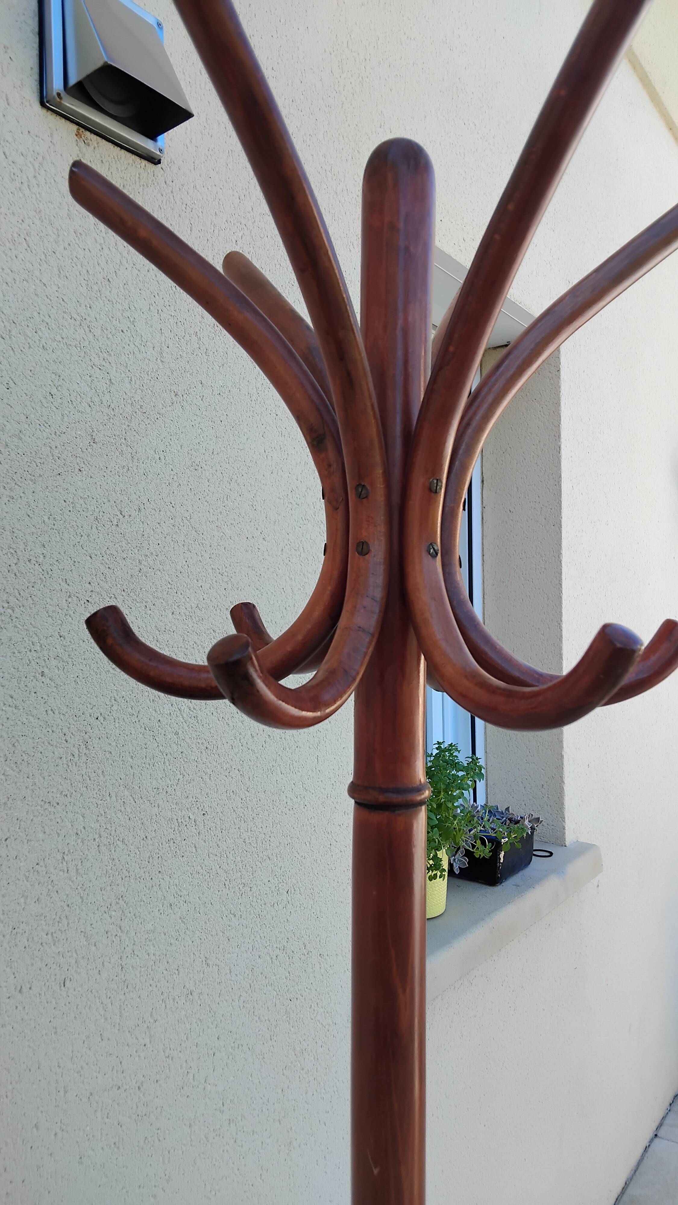 Antique Thonet style parrot coat rack