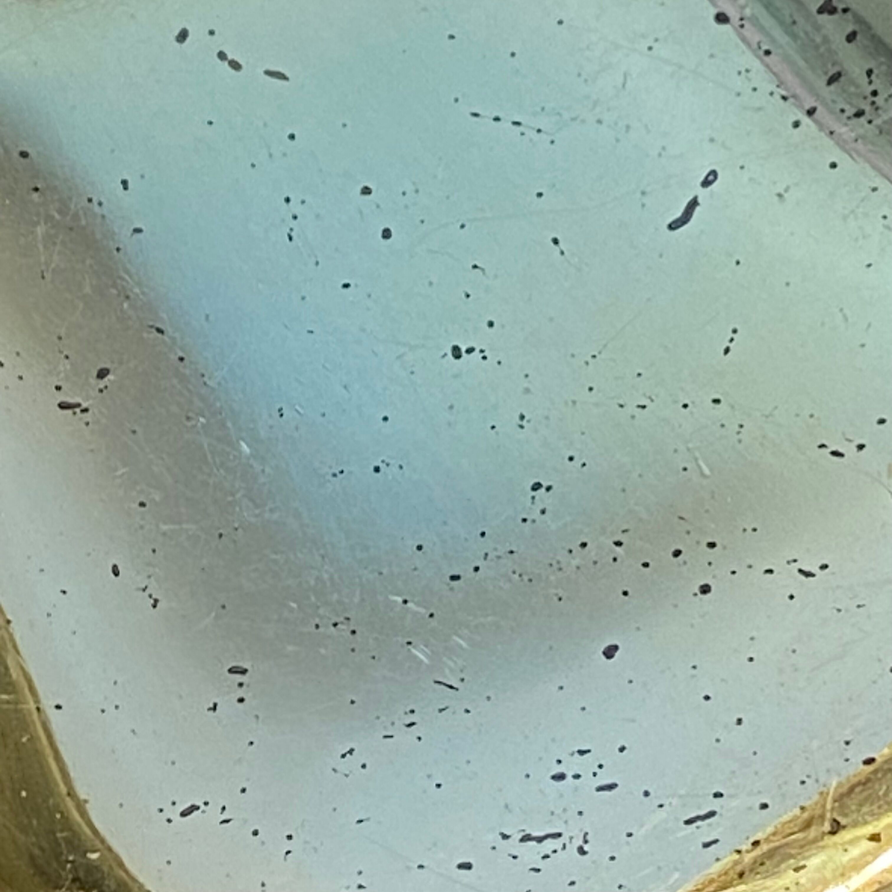 Silver metal walnut box