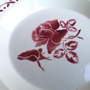 Digoin Sarreguemines plate