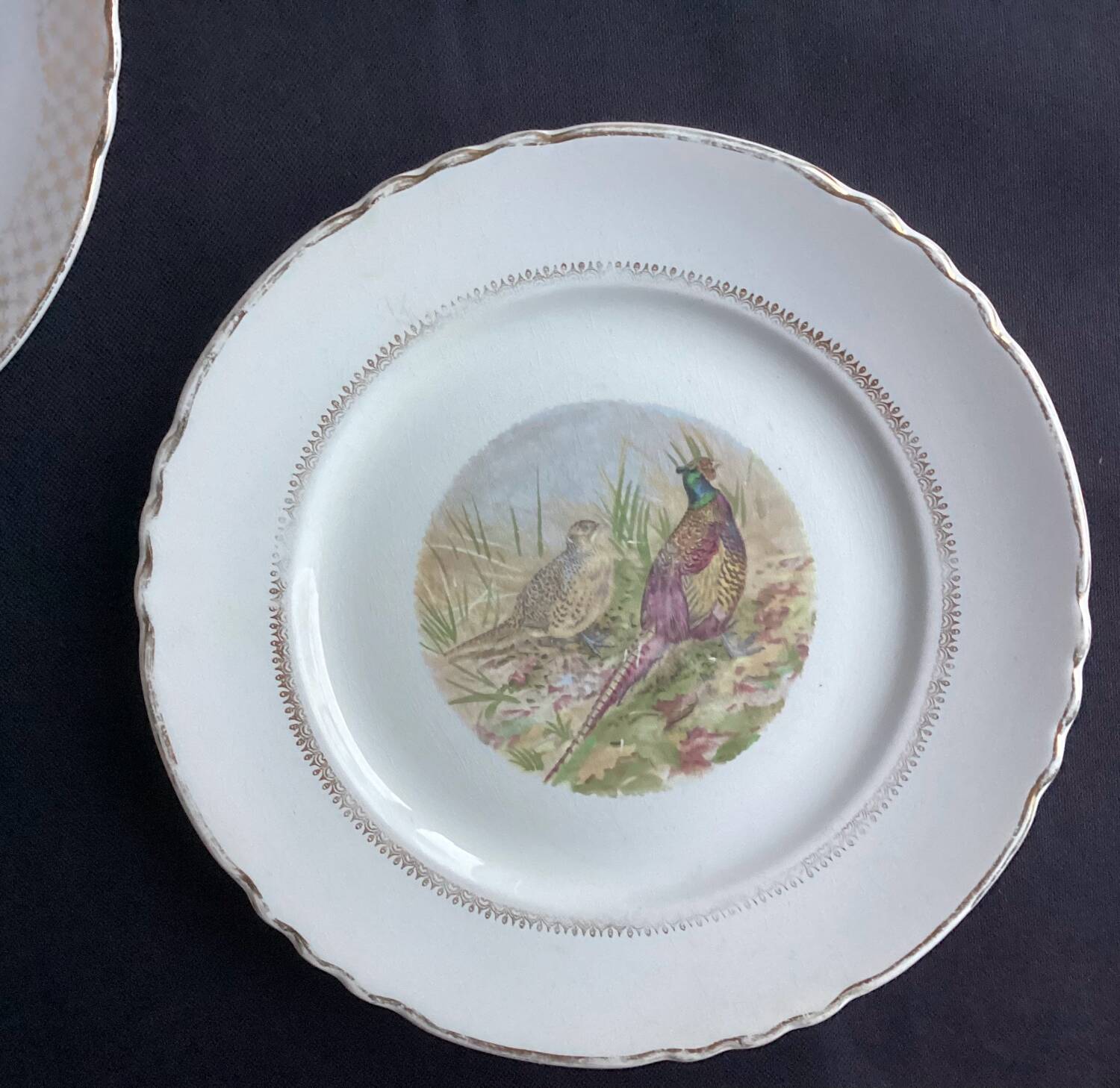 Set of 5 Moulin des Loups flat plates