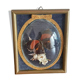 Butterfly frame