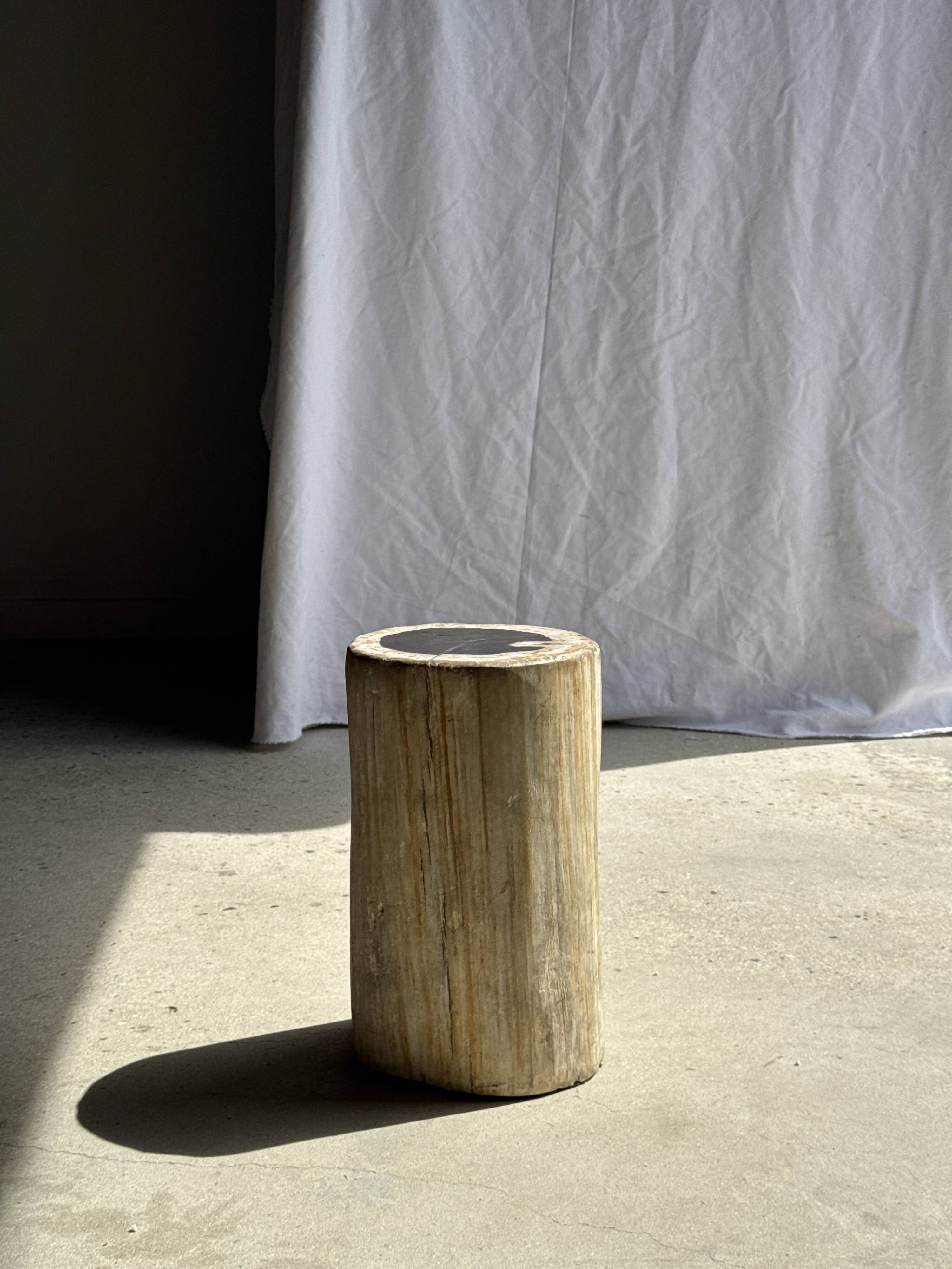 Table d'appoint en bois pétrifié, écorce blanche