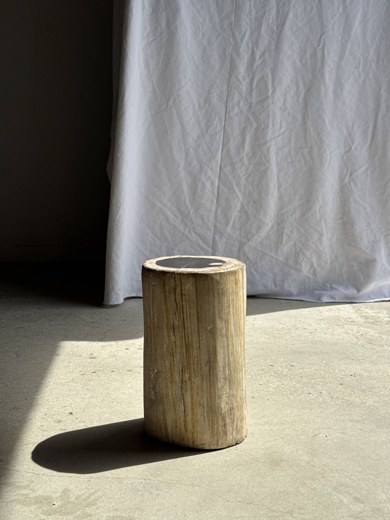 Petrified wood side table, white bark