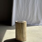 Petrified wood side table, white bark