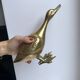 Brass animal large duck 1950s
