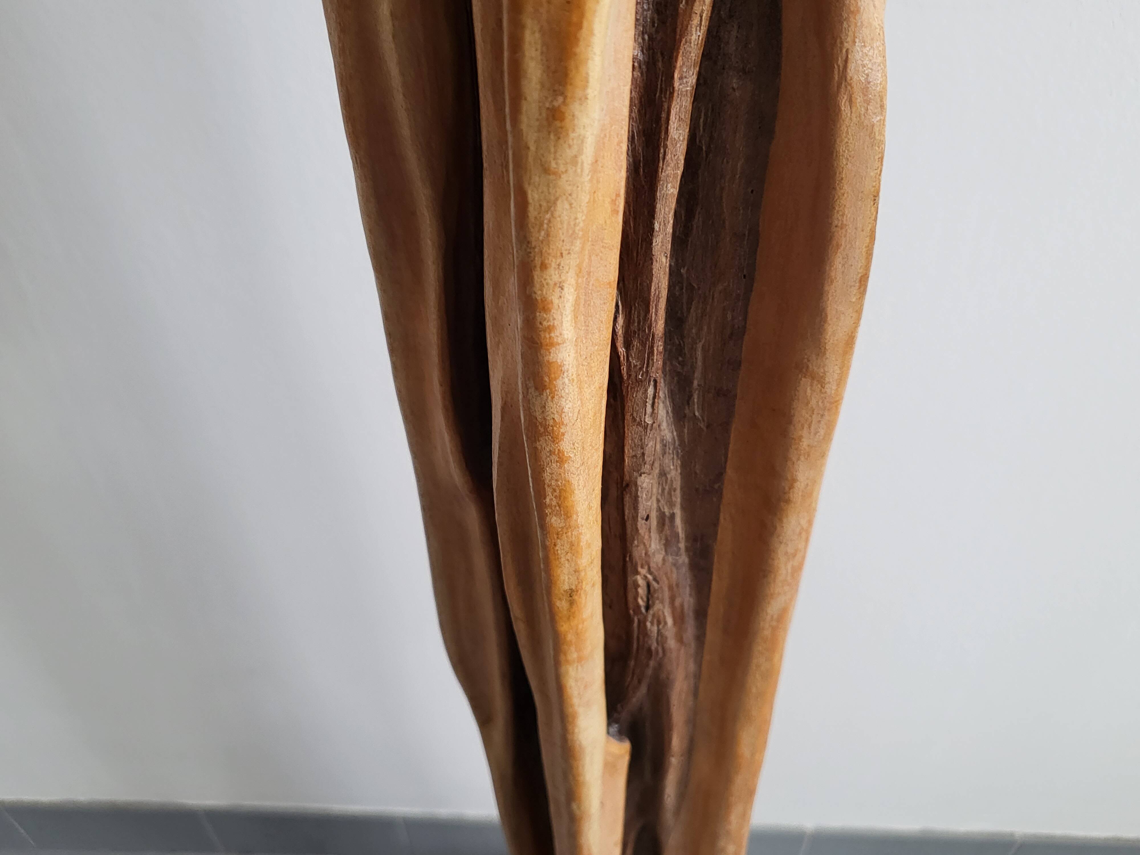 Vintage driftwood & mahogany floor lamp 1960s