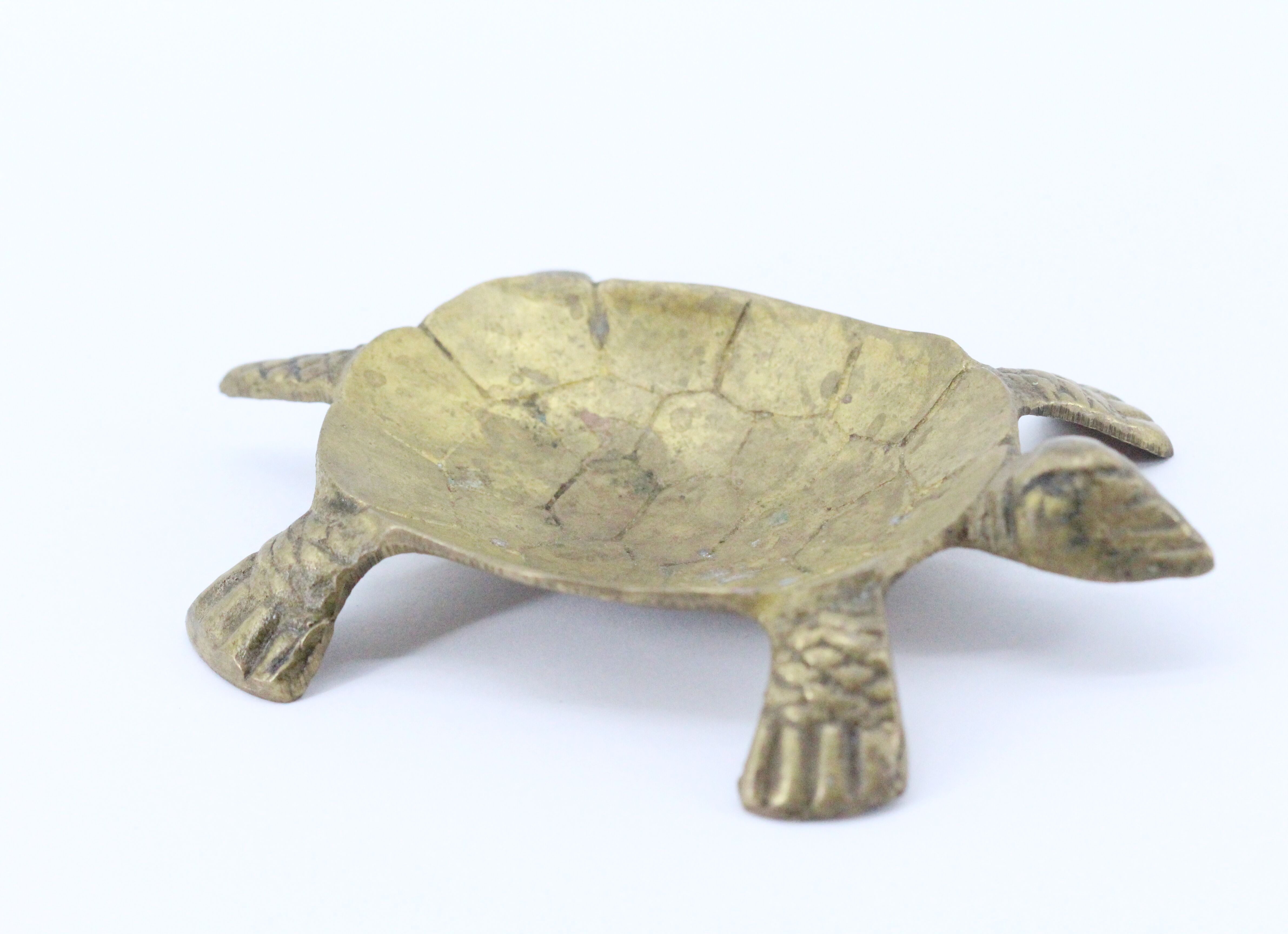 Empty brass turtle pocket