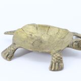 Empty brass turtle pocket