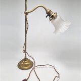 Swan neck lamp