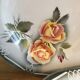 Set of 4 hollow plates "Odile" Digoin Sarreguemines