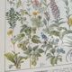 Lithograph on medicinal plants from 1928 (absinthe)