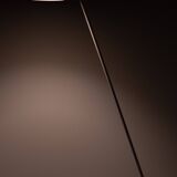 Grasshopper Tripod Floor Lamp by Willem Hagoort, Holland, 1950s