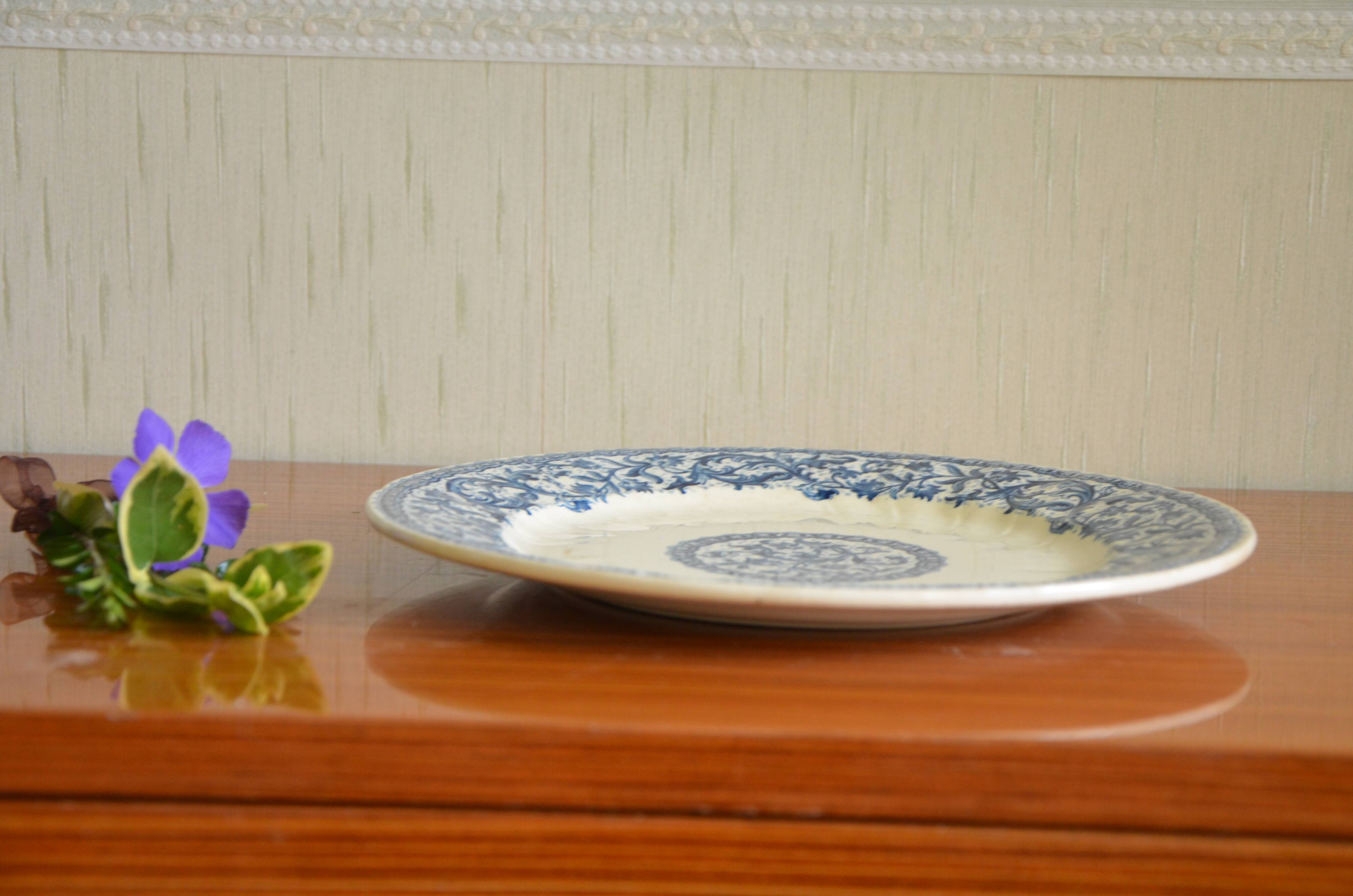 Plate from the Gien factory in iron earth