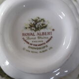 12 Royal Albert cups and saucers